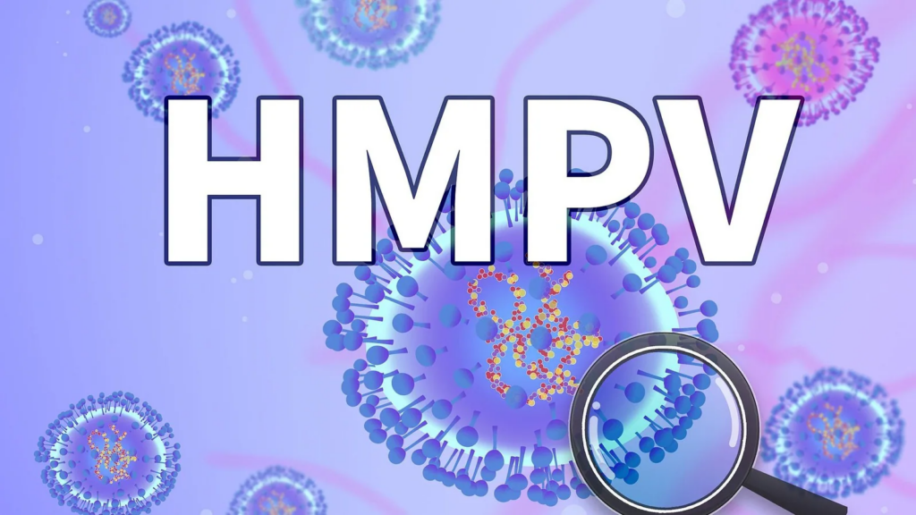 human metapneumovirus