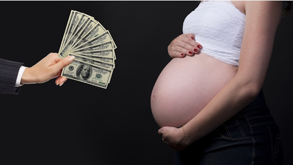 How much money need for become a surrogate mother - Live Times